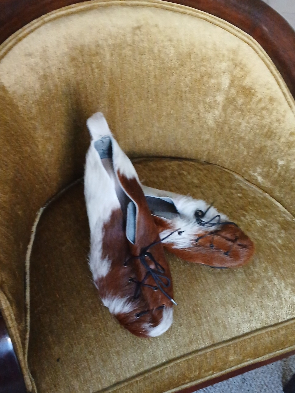 WomanBrown & White Haircalf Lace-Up Shoes